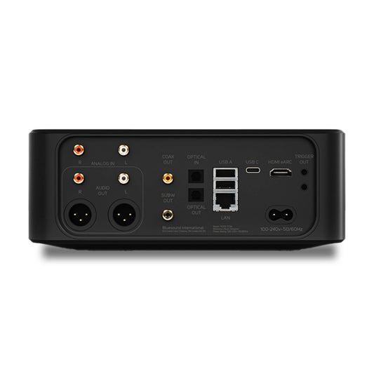 Bluesound Node Icon