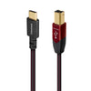 AudioQuest Cinnamon USB