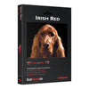 AudioQuest Irish Red Subwoofer