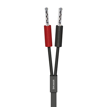 AudioQuest Q2 Full-Range